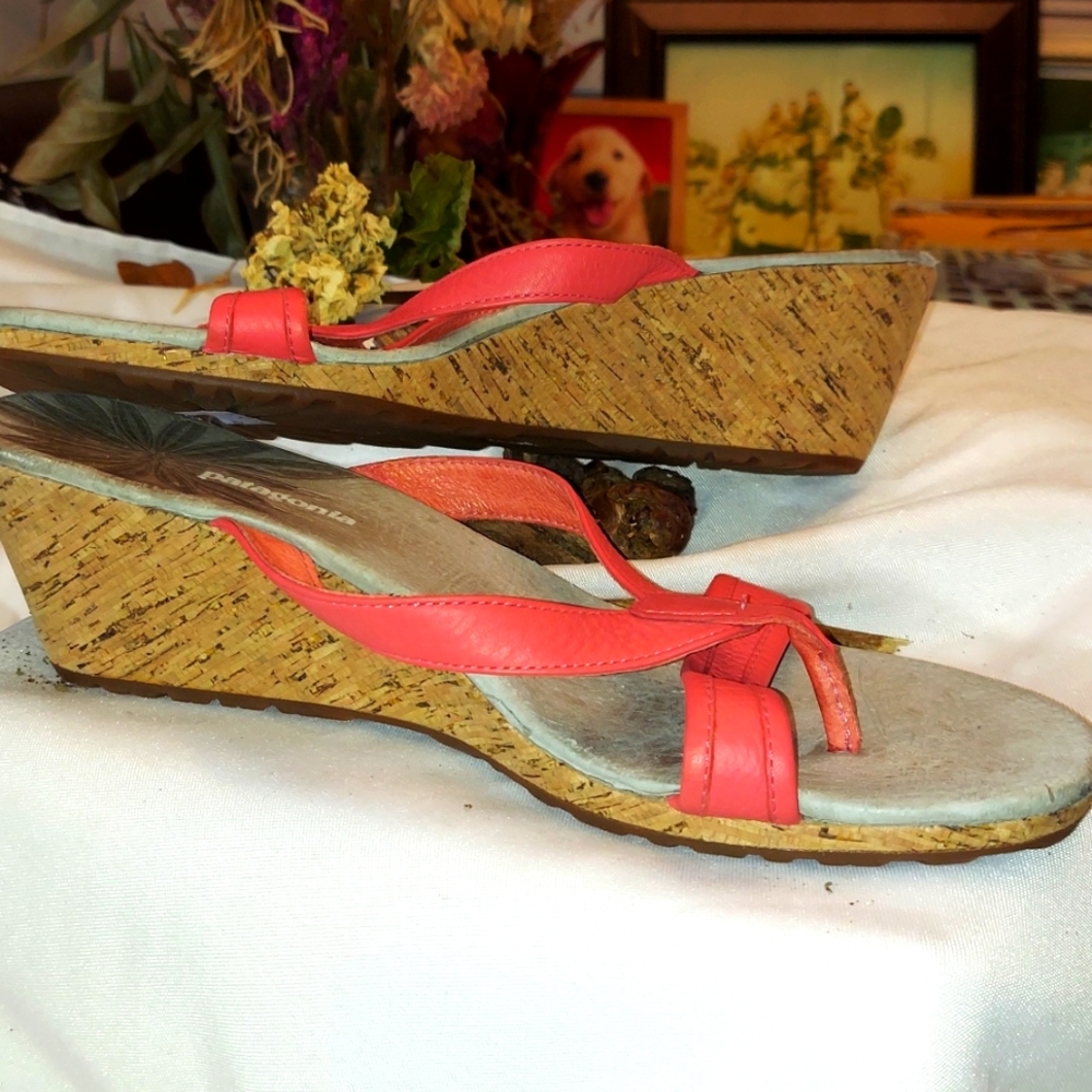 Patagonia Wedge Open Toe Sandal